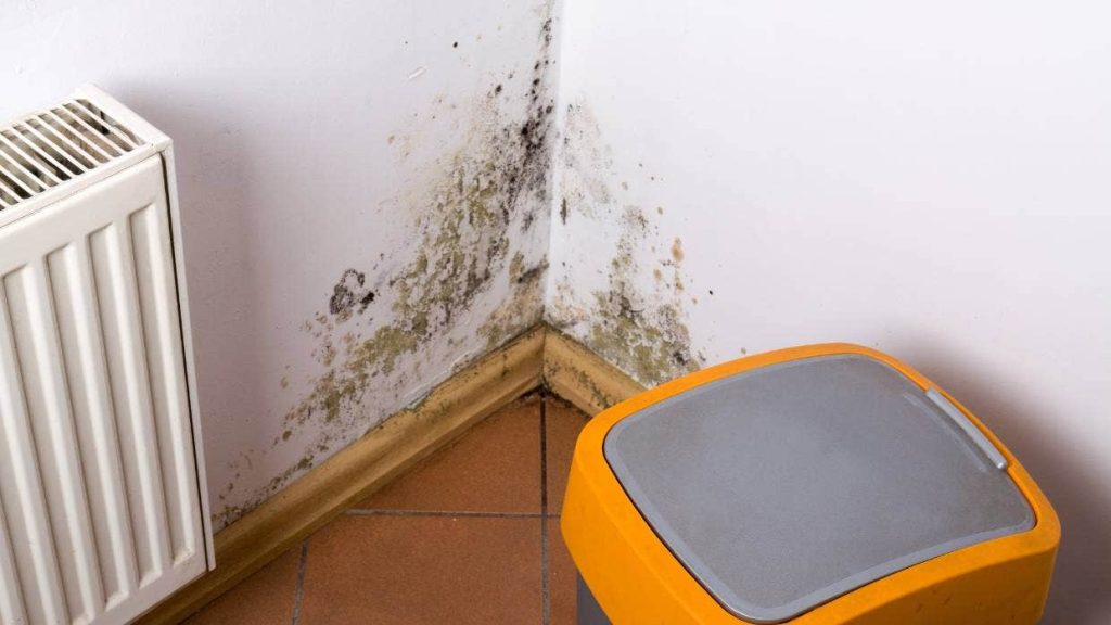 Worries about landlords’ reaction