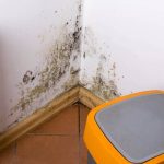 Worries about landlords’ reaction